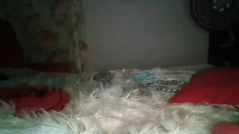 Snapshot of anabella_00 chatting on 22, 2, 2025 anabella_00 online show from 22, 2, 2025