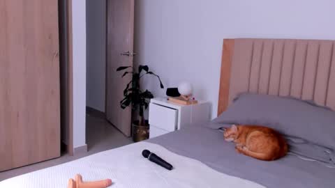 Ana Henao or Annie... Follow me ahenaocb Insta  X online show from 26, 9, 2025