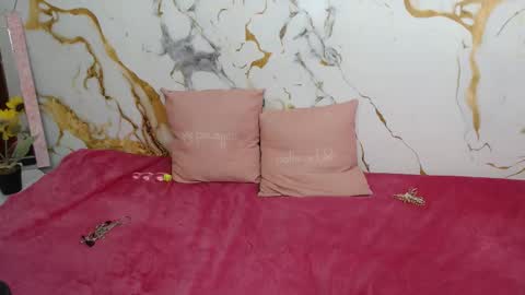 analiz_ online show from 5, 2, 2026