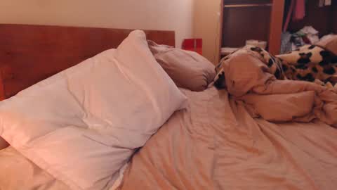 Snapshot of andrasweetie chatting on 6, 2, 2025 Andra online show from 6, 2, 2025