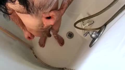 andybadass online show from 9, 2, 2025