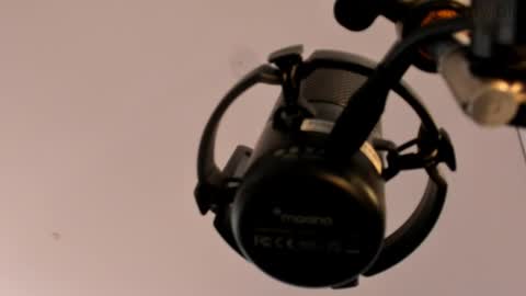 Snapshot of anelisse_ chatting on 11, 3, 2025 online show from 11, 3, 2025