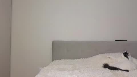 Angel online show from 24, 4, 2026