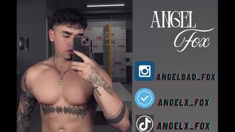 Snapshot of angelx_fox chatting on 26, 11, 2025 Angel Fox online show from 26, 11, 2025
