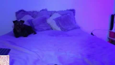 Angie Gomez  Onlyfans angie bigboobs FREE online show from 22, 4, 2026