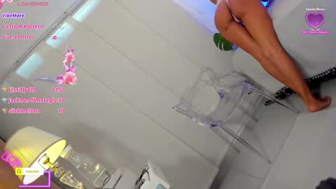 Snapshot of anierouse chatting on 7, 12, 2024 ROUSE online show from 7, 12, 2024