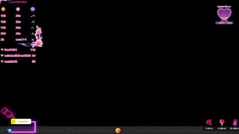 Snapshot of anierouse chatting on 8, 12, 2024 ROUSE online show from 8, 12, 2024