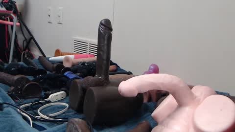 Twitter at animegamergrl. No vids for sale on Chaturbate. online show from 11, 1, 2026