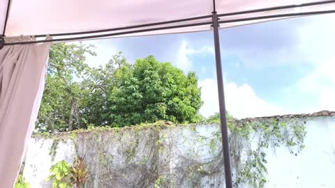 Anna online show from 7, 12, 2024