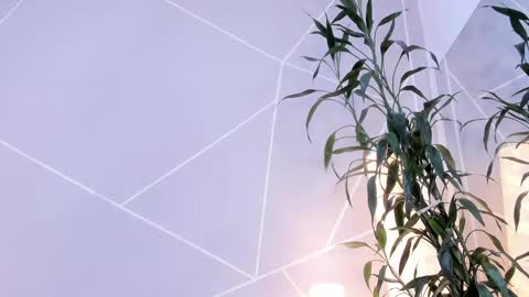 Anna online show from 13, 12, 2024