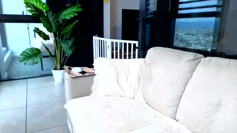 Snapshot of anna_royale chatting on 11, 6, 2026 Anna online show from 11, 6, 2026