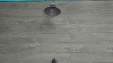 Snapshot of annasplash chatting on 12, 3, 2025 annasplash online show from 12, 3, 2025