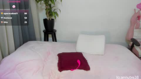 Snapshot of annubis_lia chatting on 18, 2, 2025 SOFIA INDEPENDENT MODEL online show from 18, 2, 2025