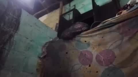 Snapshot of anonimode18cm1 chatting on 19, 3, 2026 anonimode18cm1 online show from 19, 3, 2026