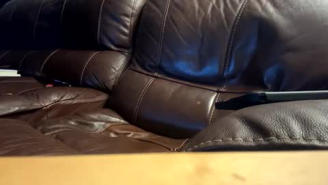 anarchist online show from 6, 3, 2026