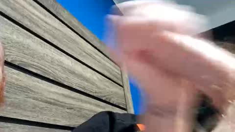 anthonyjonorth online show from 7, 2, 2026