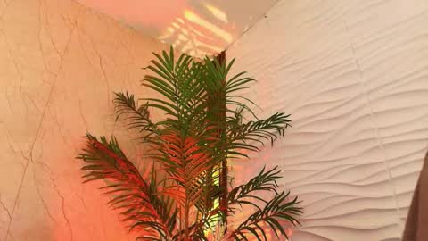 anton__monacu online show from 25, 11, 2025