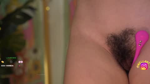 Snapshot of antonella_maitt chatting on 16, 12, 2024 Nell. online show from 16, 12, 2024