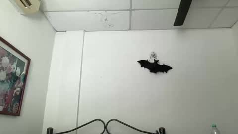 Antonia online show from 5, 12, 2024