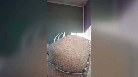 Snapshot of antonijosastin chatting on 14, 6, 2026 antonijosastin online show from 14, 6, 2026