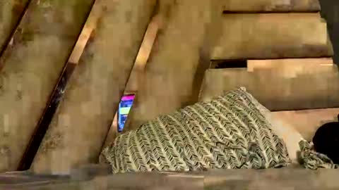 Snapshot of anubis_inpu chatting on 6, 11, 2025 anubis_inpu online show from 6, 11, 2025