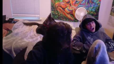 ApacheWithWebcam online show from 25, 4, 2026