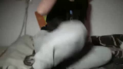 aphr0dite22 online show from 6, 1, 2026