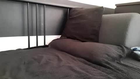 apollobest77 online show from 6, 11, 2025