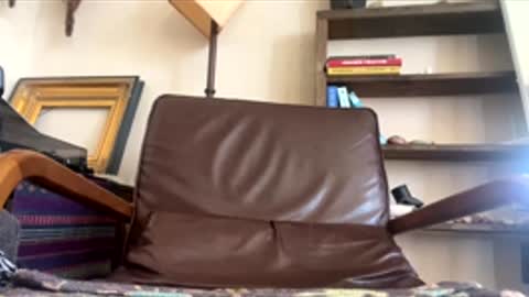 arealjerk69696969 online show from 10, 6, 2026