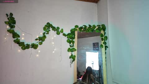 ari online show from 11, 1, 2025