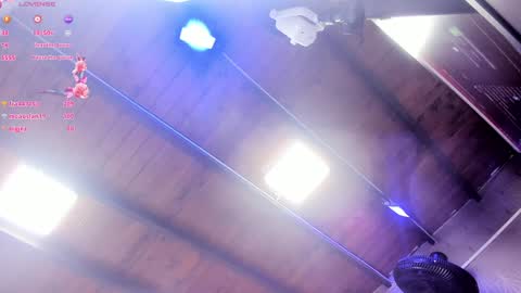 Snapshot of ari_monet chatting on 29, 1, 2025 ARI online show from 29, 1, 2025