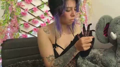 aria_silk online show from 26, 6, 2026