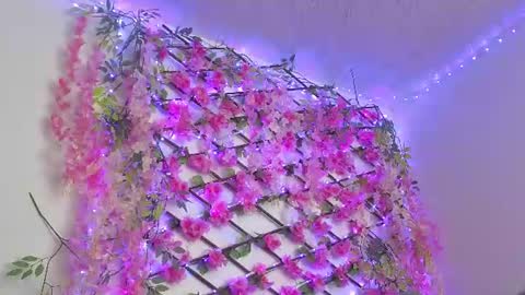 aria_silk online show from 22, 7, 2026