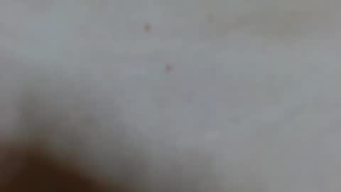 Ariana lvarez online show from 2, 2, 2025