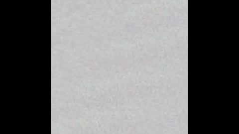 Snapshot of arianaa_collins chatting on 5, 11, 2025 Arianna Collins online show from 5, 11, 2025