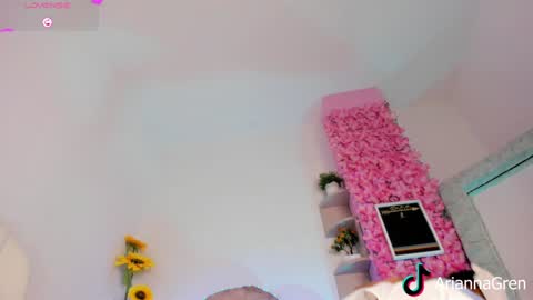 Snapshot of arianna_gren chatting on 23, 12, 2024 Arianna online show from 23, 12, 2024