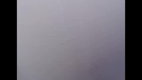 ariannaloovel online show from 27, 4, 2026