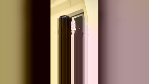 arilavish online show from 11, 4, 2026