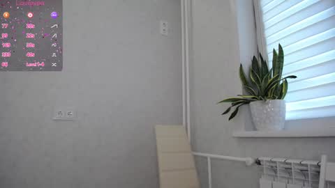 arinamir online show from 23, 9, 2025