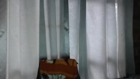 Snapshot of armando_2002 chatting on 14, 11, 2025 ARMANDO online show from 14, 11, 2025