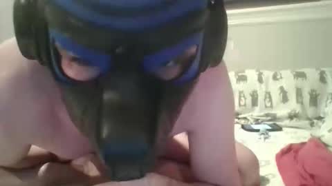 Snapshot of arrowpup chatting on 5, 6, 2026 arrowpup online show from 5, 6, 2026