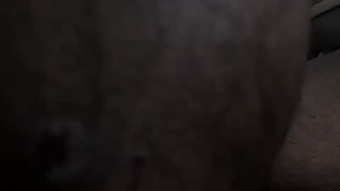 Arteblazze not daddy boy bitch or nigga online show from 25, 2, 2026