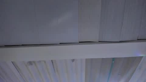 FENIX online show from 20, 11, 2025