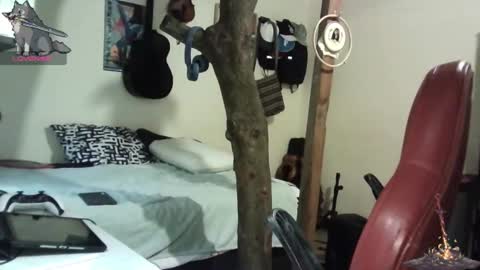 artorias 4 online show from 28, 1, 2025