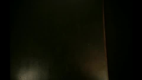 Snapshot of artystyczny chatting on 20, 5, 2026 artystyczny online show from 20, 5, 2026
