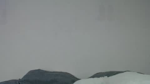 Anite         online show from 6, 12, 2024