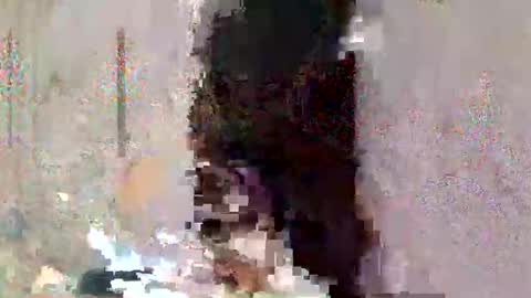 asian_cummer7 online show from 2, 4, 2026