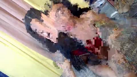 Snapshot of asian_kimxxx chatting on 30, 1, 2025 don online show from 30, 1, 2025