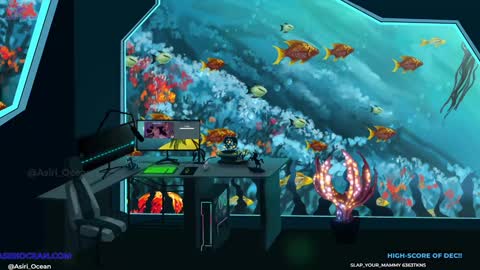 Asiri   pronounced Ah-siri Please no nicknames   3 online show from 19, 12, 2024