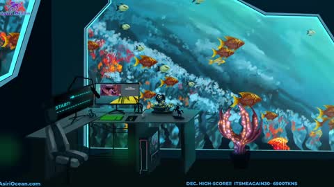 Asiri   pronounced Ah-siri Please no nicknames   3 online show from 17, 12, 2025